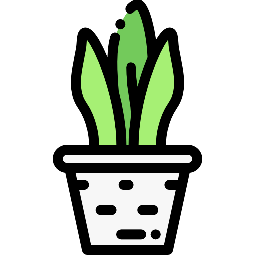 planta (1)